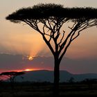 Sonnenuntergang in der Serengeti