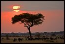 Serengeti National Park