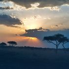 Sonnenuntergang in der Serengeti