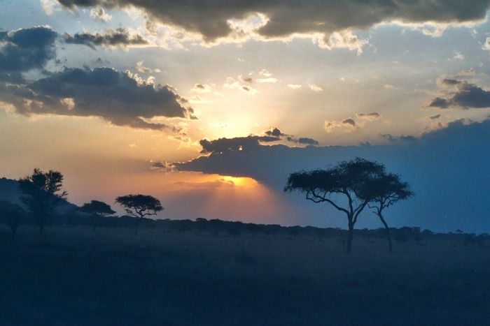 Sonnenuntergang in der Serengeti