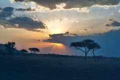 Sonnenuntergang in der Serengeti