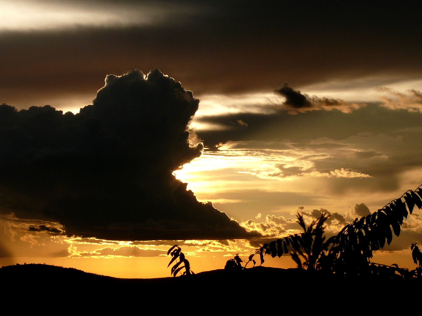 Sonnenuntergang in der Serengeti