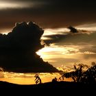 Sonnenuntergang in der Serengeti