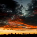 Sonnenuntergang in der Serengeti