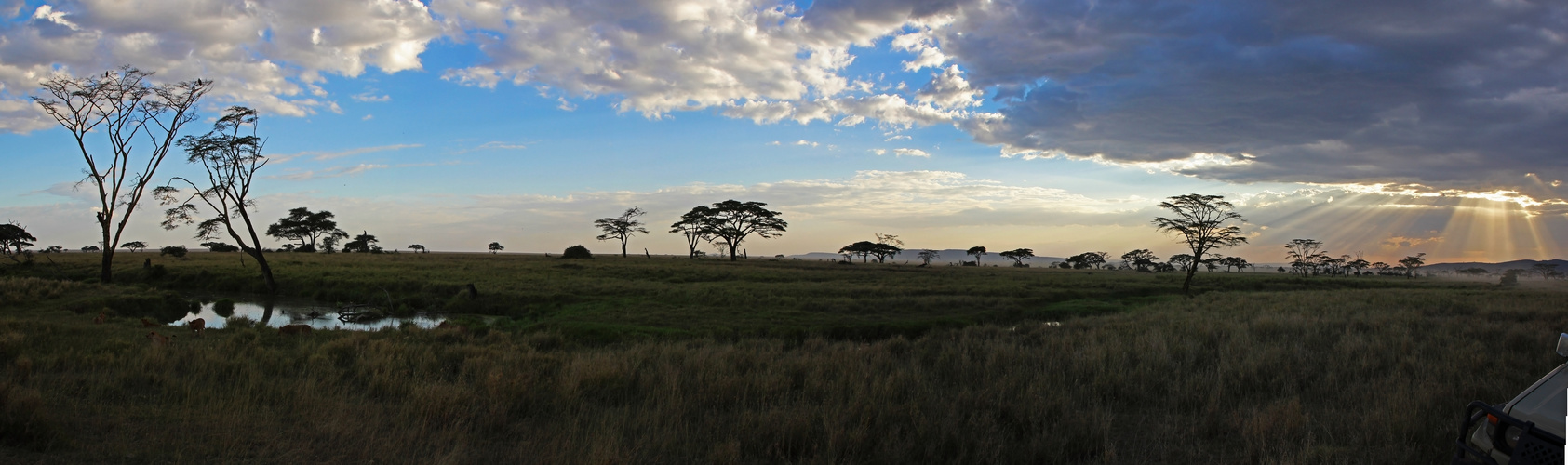 sonnenuntergang in der serengeti