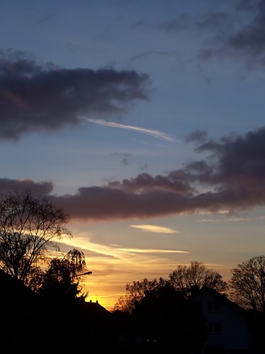 Sonnenuntergang in der Stadtheide