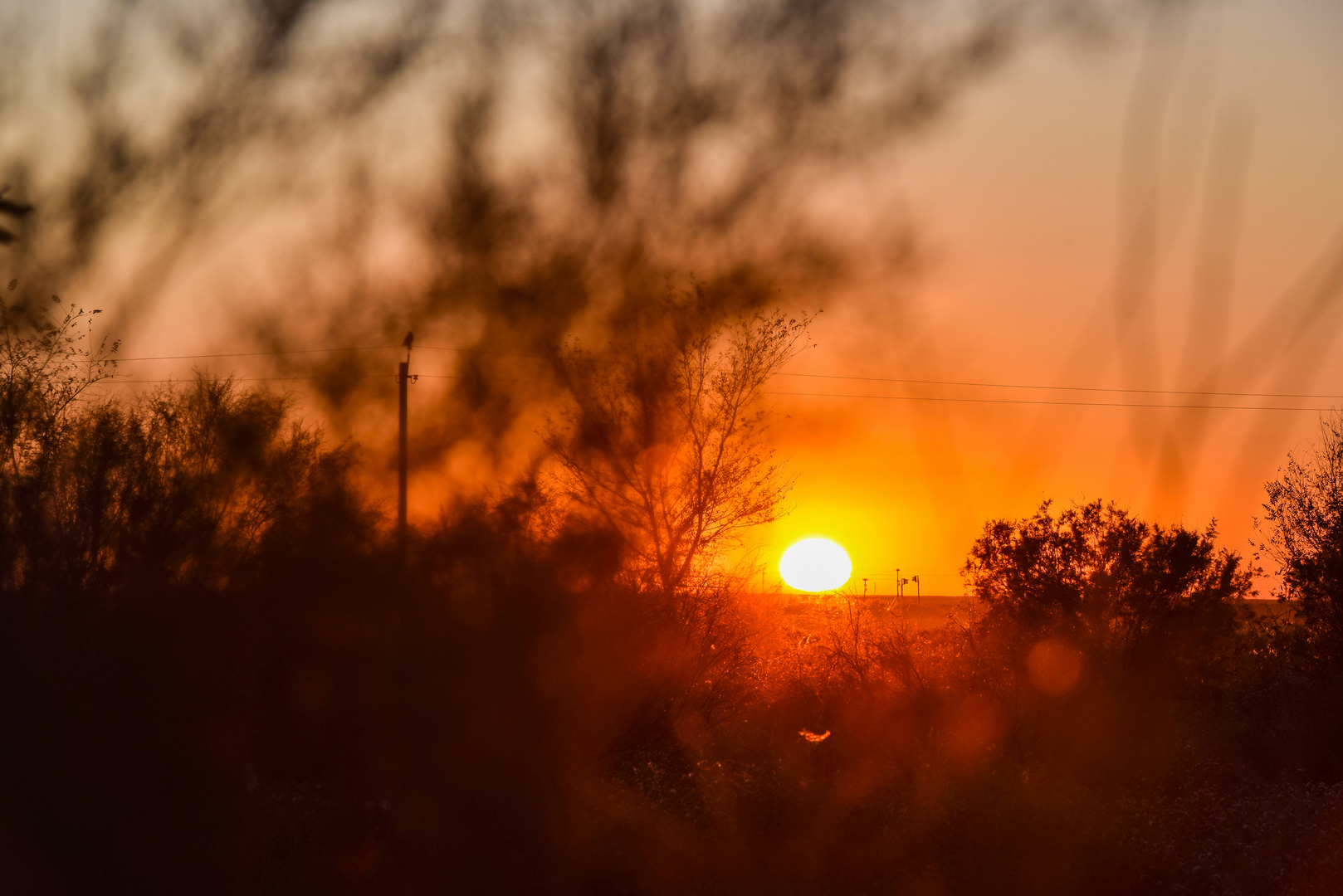 Sonnenuntergang in der Steppe