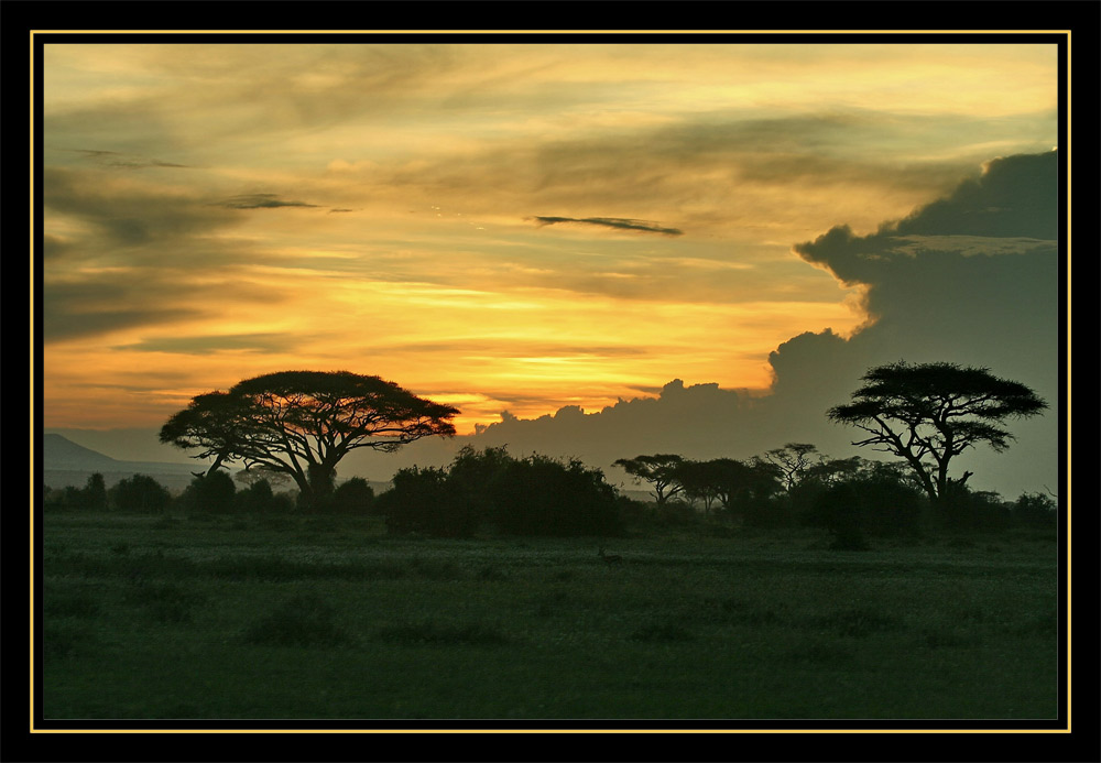 Sonnenuntergang in der Steppe Afrikas