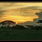 Sonnenuntergang in der Steppe Afrikas