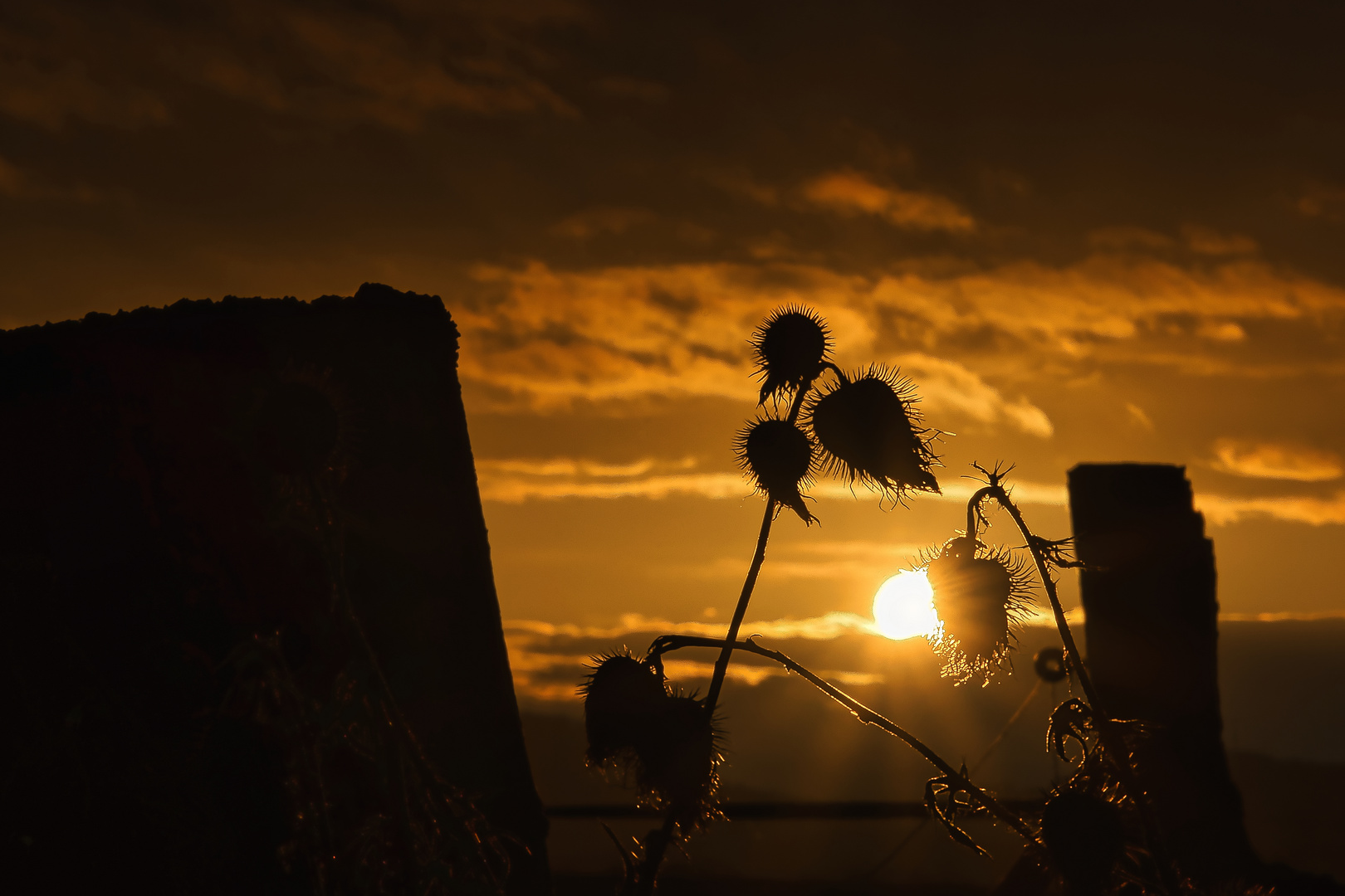 Sonnenuntergang in der Straße 