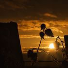 Sonnenuntergang in der Straße 