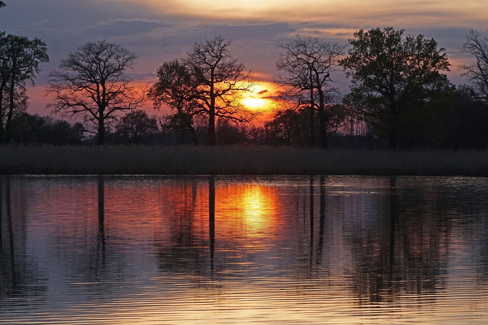 Sonnenuntergang in der Teichgruppe Guttau