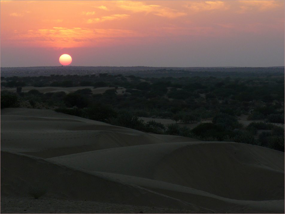 Sonnenuntergang in der Thar-Wüste