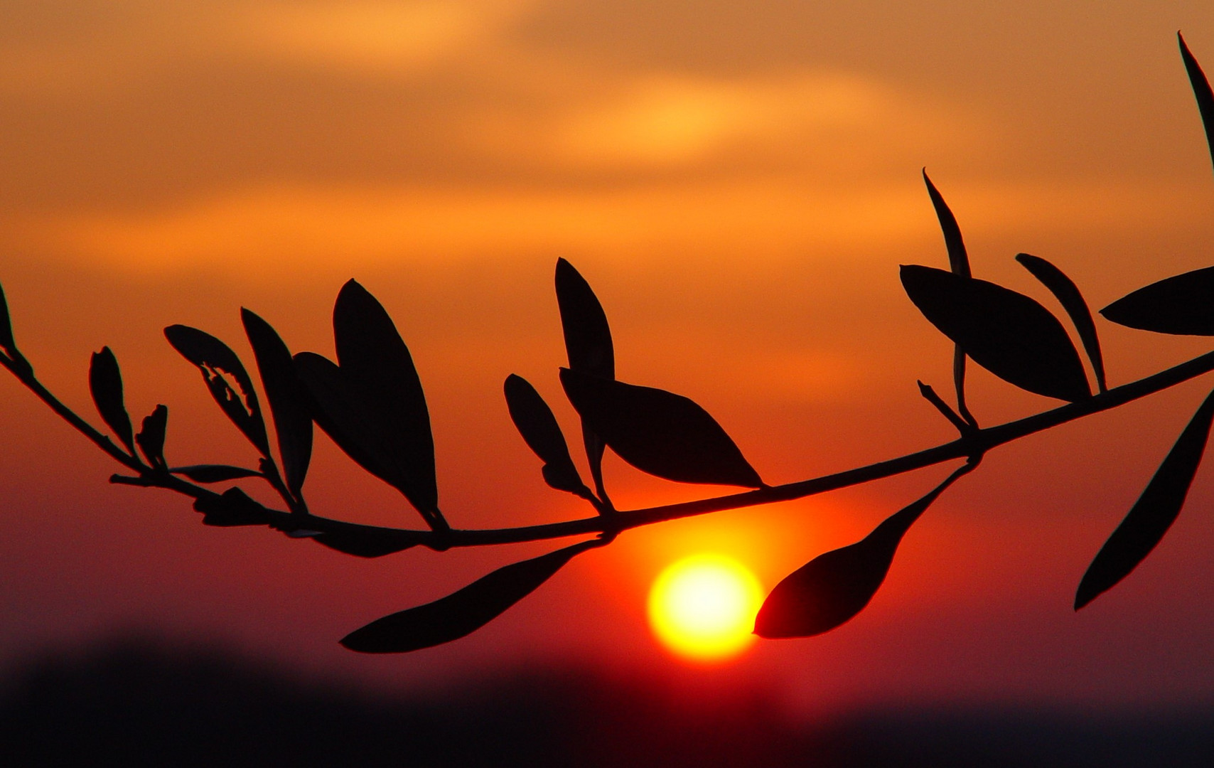 Sonnenuntergang in der Toscana