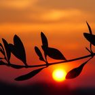 Sonnenuntergang in der Toscana