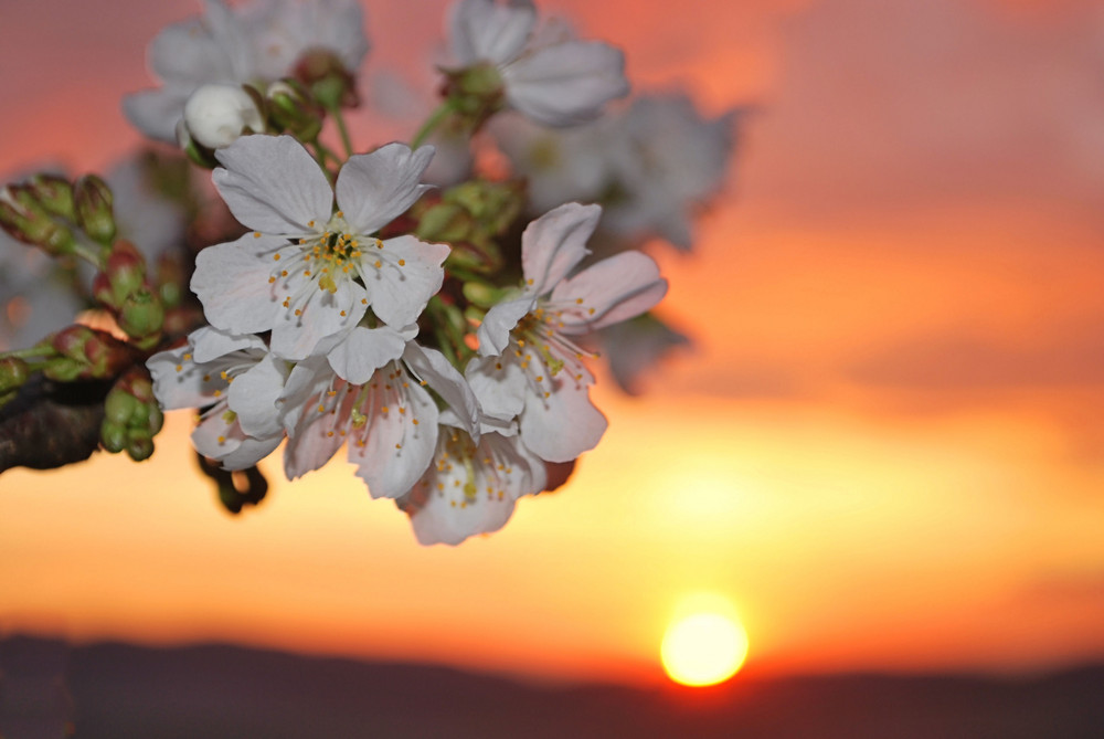 Sonnenuntergang in der Toscana