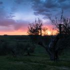 Sonnenuntergang in der Toscana