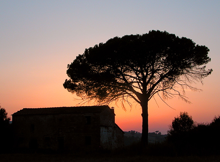 Sonnenuntergang in der Toscana V