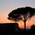 Sonnenuntergang in der Toscana V