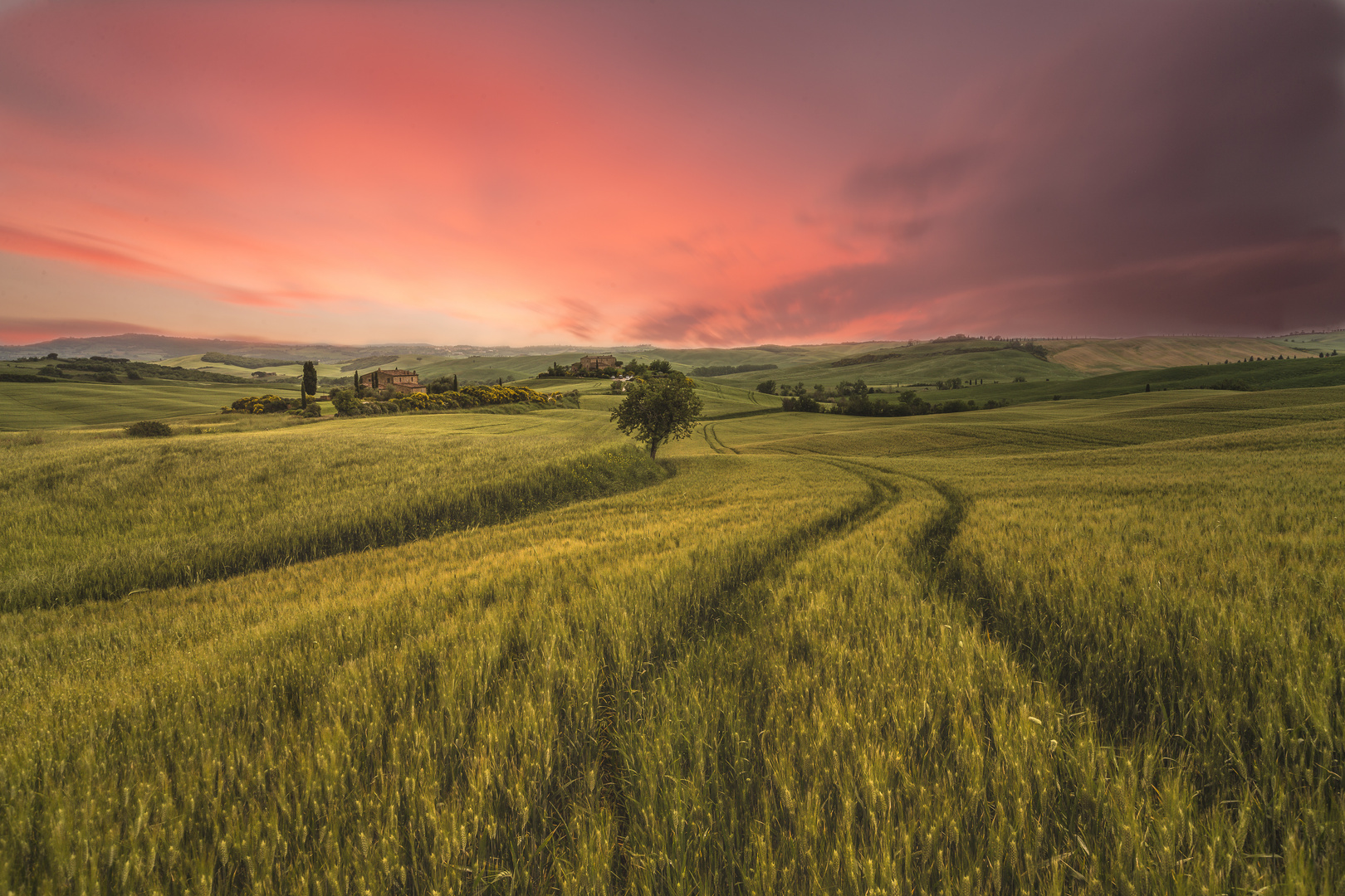  Sonnenuntergang in der Toskana