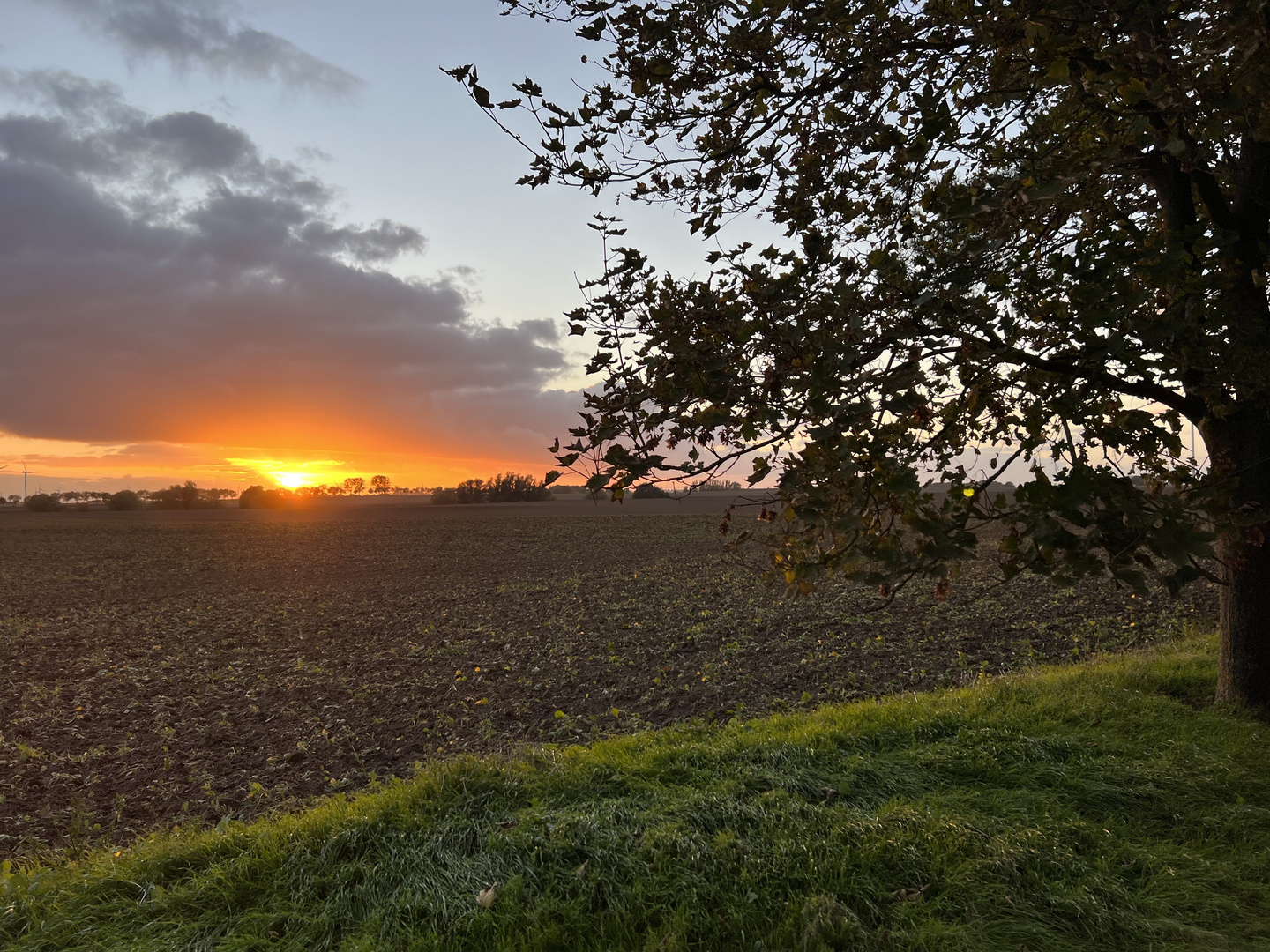 Sonnenuntergang in der Uckermark 1