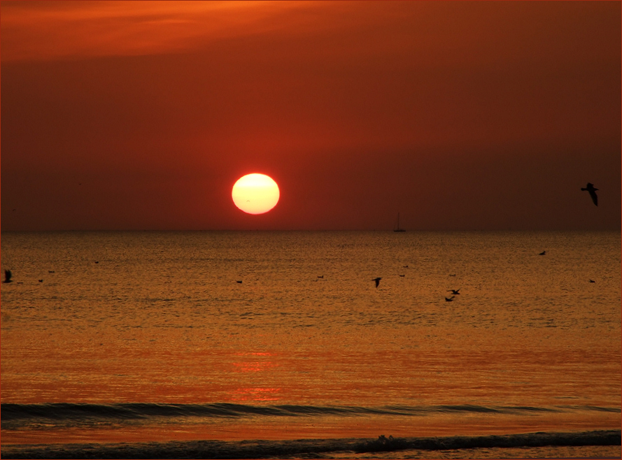 Sonnenuntergang in der Vendee 5