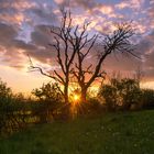 Sonnenuntergang in der Vorrhön (2)