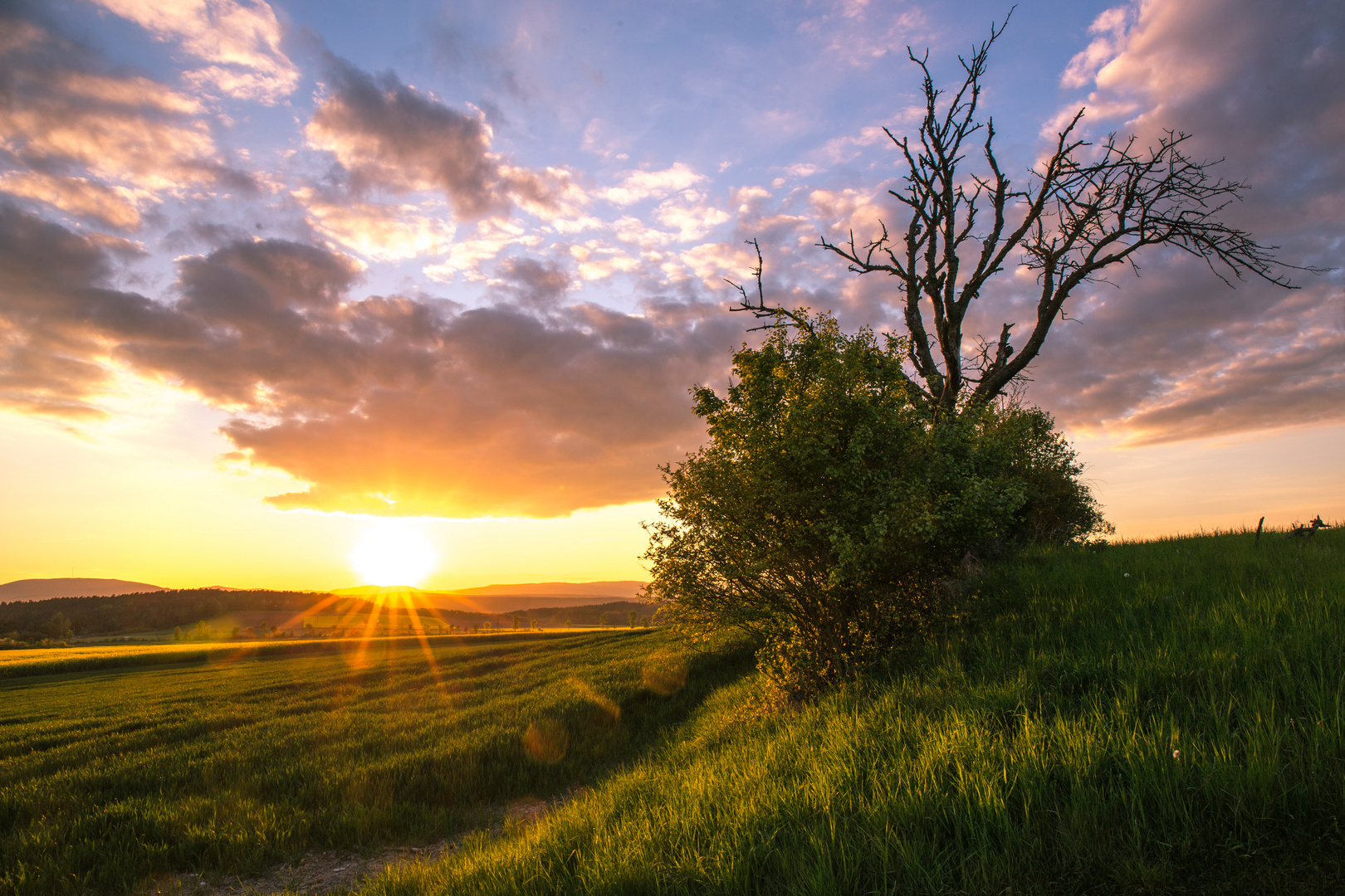 Sonnenuntergang in der Vorrhön .....