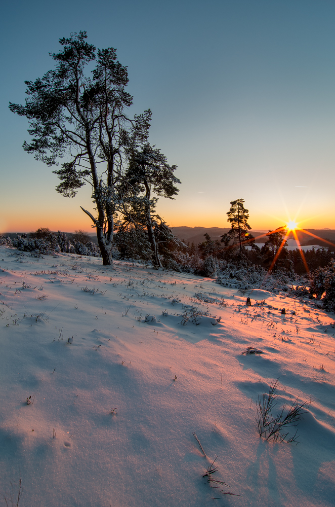 Sonnenuntergang in der Wacholderheide...