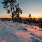 Sonnenuntergang in der Wacholderheide...