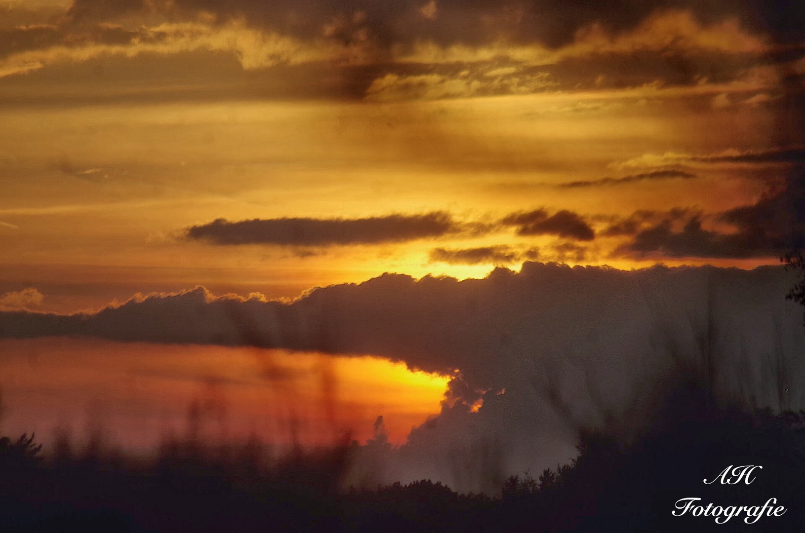 Sonnenuntergang in der Wahner Heide