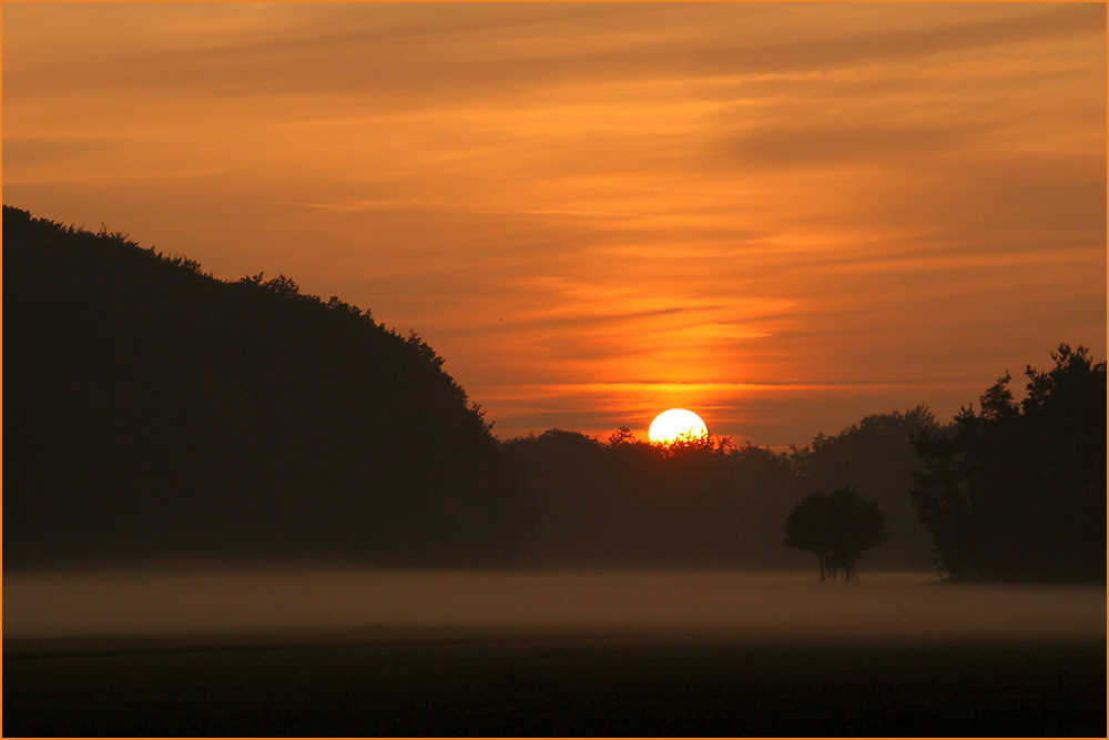 Sonnenuntergang in der Waldlichtung