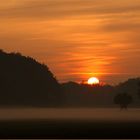 Sonnenuntergang in der Waldlichtung