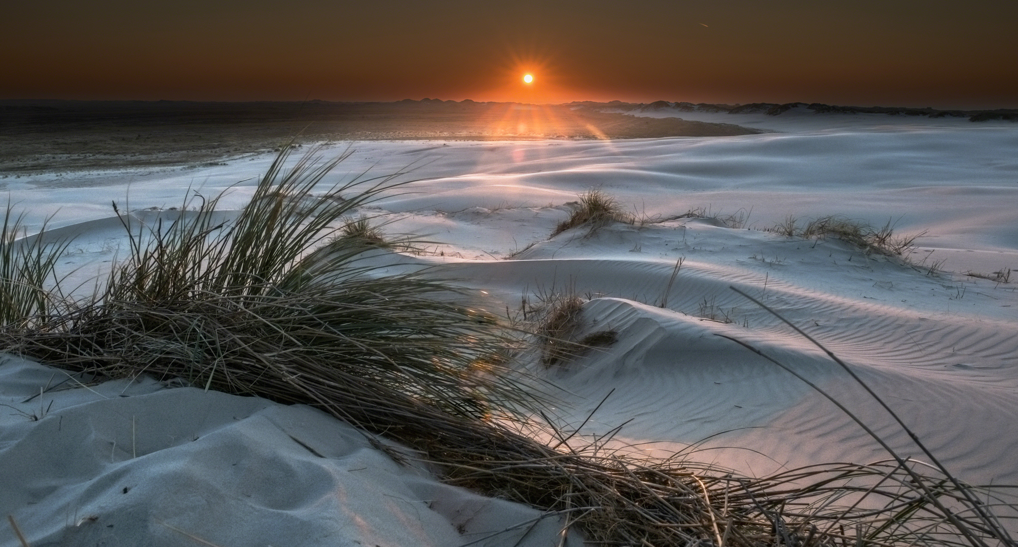 Sonnenuntergang in der Wanderdüne Råbjerg Mile