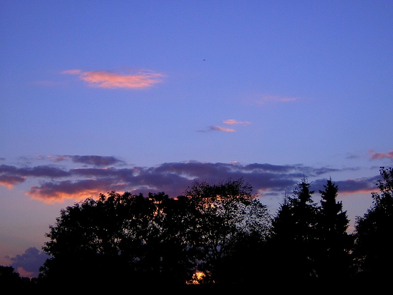 Sonnenuntergang in der Wedeler Marsch