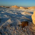 Sonnenuntergang in der Weißen Wüste (Ägypten)