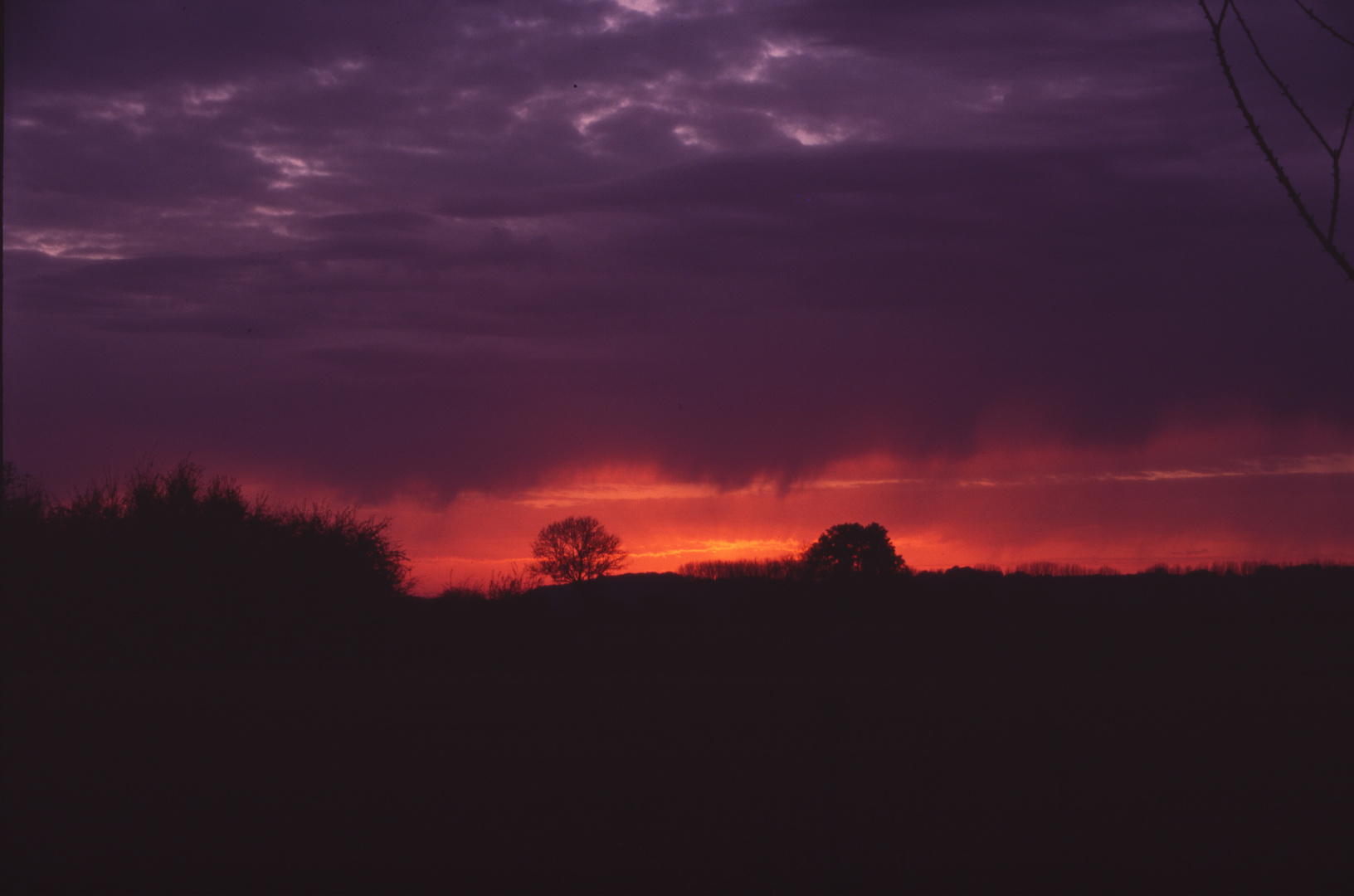 Sonnenuntergang in der Wesermarsch