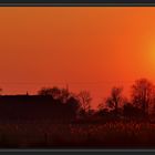 Sonnenuntergang in der Wesermarsch