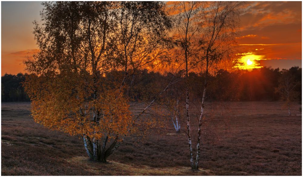 Sonnenuntergang in der Westruper Heide