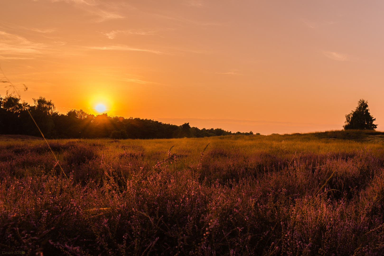 Sonnenuntergang in der Westrupper Heide