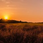 Sonnenuntergang in der Westrupper Heide