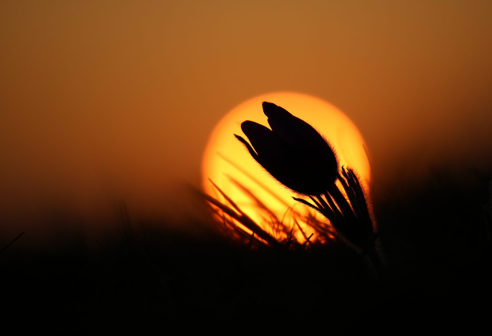 Sonnenuntergang in der Wetterau