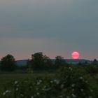 Sonnenuntergang in der Wetterau