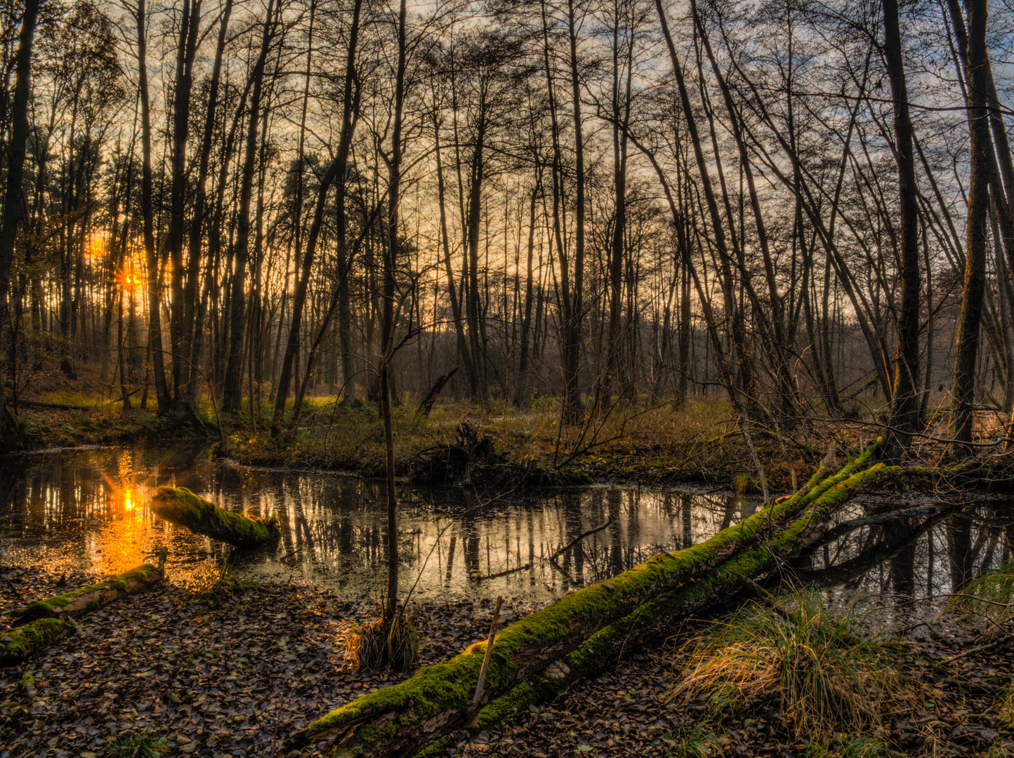 Sonnenuntergang in der Wildnis um das Löcknitztal