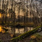 Sonnenuntergang in der Wildnis um das Löcknitztal