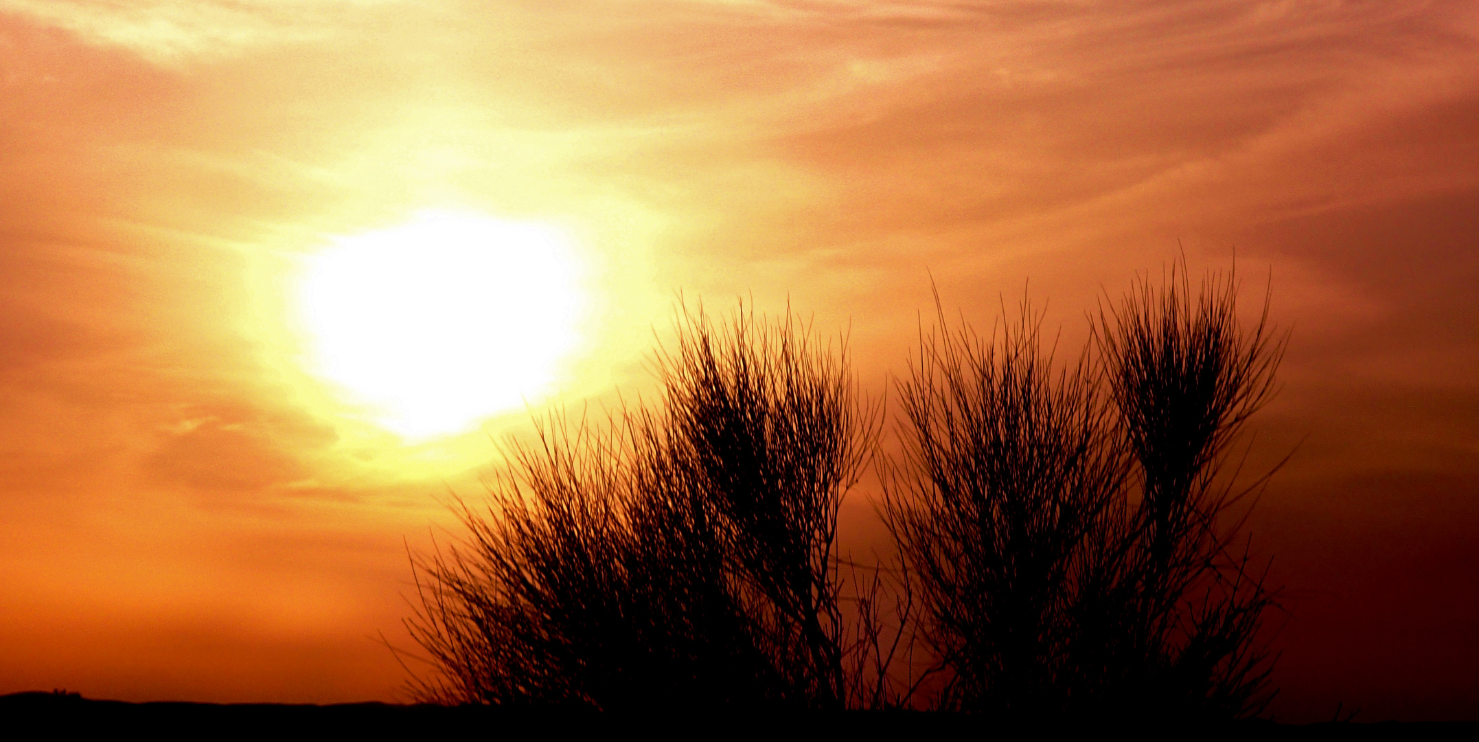 Sonnenuntergang in der Wüste