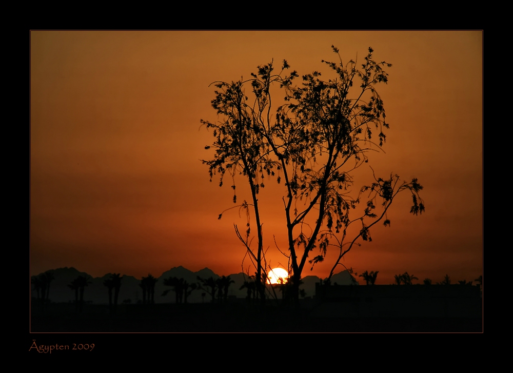 -SONNENUNTERGANG IN DER WÜSTE-