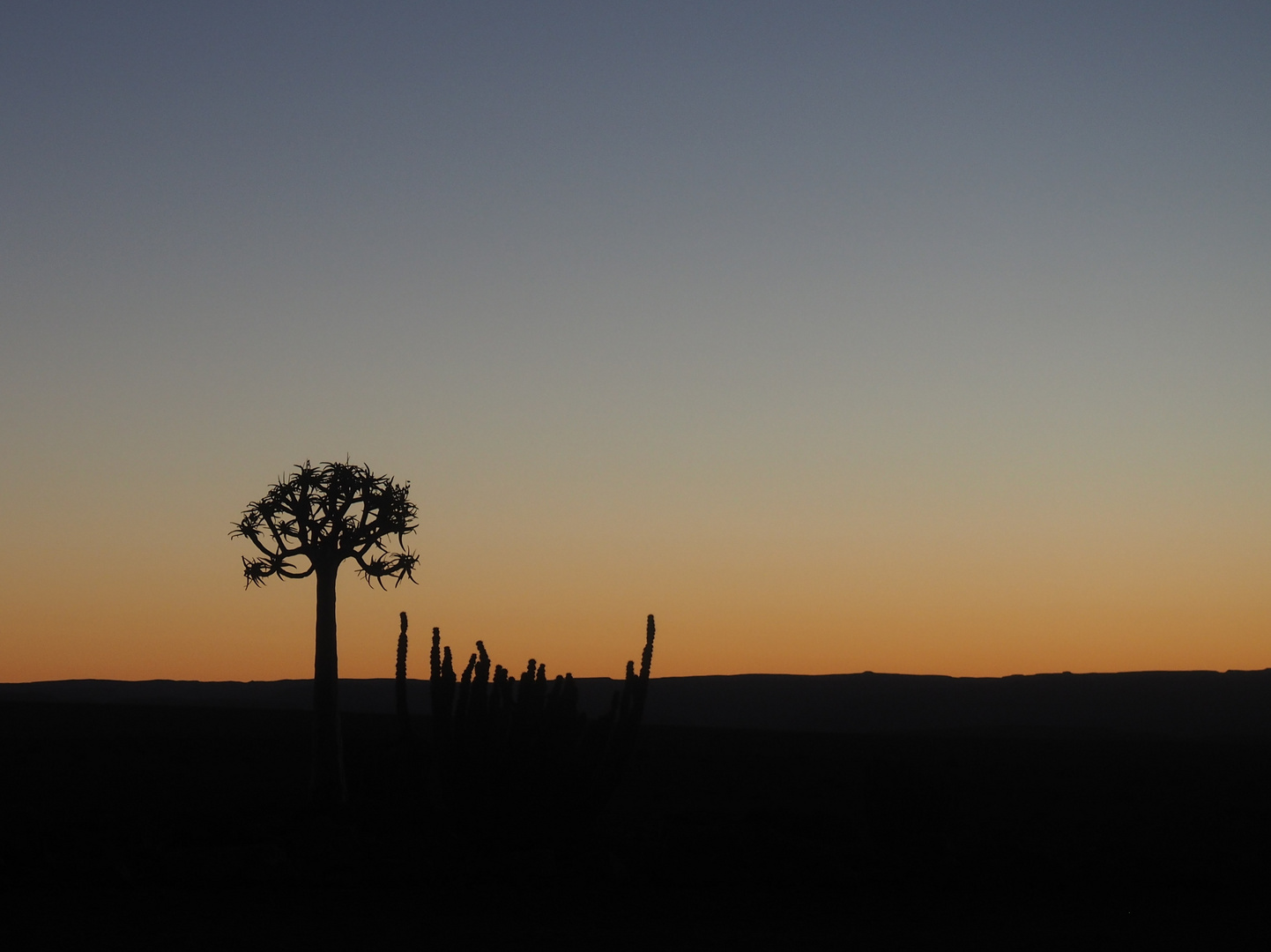 Sonnenuntergang in der Wüste