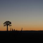 Sonnenuntergang in der Wüste