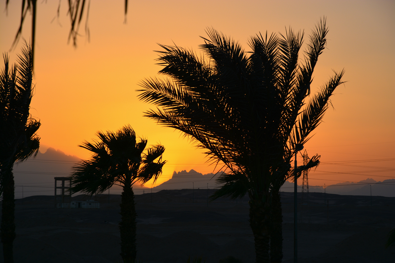 Sonnenuntergang in der Wüste